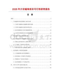 2026年片狀磁珠項目可行性研究報告