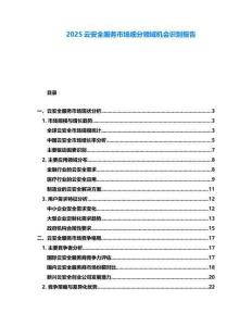 2025云安全服務市場細分領域機會識別報告