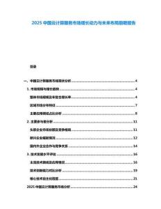 2025中國云計算服務市場增長動力與未來布局前瞻報告