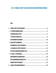 2025中國云計算產業生態布局與市場競爭策略分析報告
