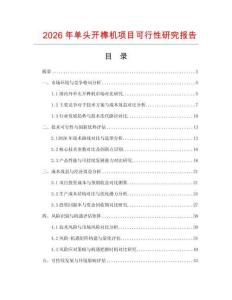2026年單頭開榫機項目可行性研究報告
