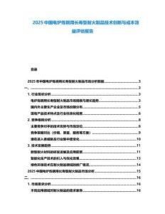 2025中國(guó)電爐煉鋼用長(zhǎng)壽型耐火制品技術(shù)創(chuàng)新與成本效益評(píng)估報(bào)告