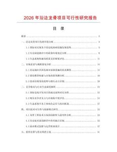 2026年沿邊龍骨項目可行性研究報告