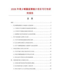 2026年青少蝶翼超薄鏡片項目可行性研究報告