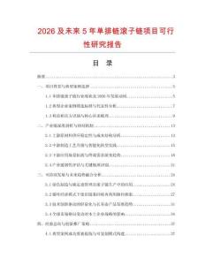2026及未來5年單排鏈滾子鏈項目可行性研究報告