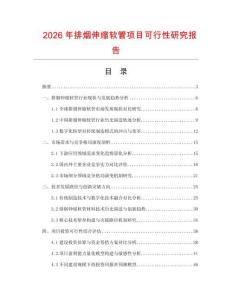 2026年排煙伸縮軟管項目可行性研究報告