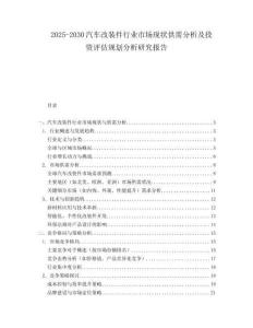 2025-2030汽車改裝件行業市場現狀供需分析及投資評估規劃分析研究報告