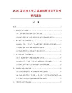 2026及未來(lái)5年人造草球場(chǎng)項(xiàng)目可行性研究報(bào)告