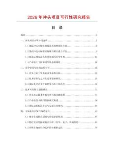 2026年沖頭項目可行性研究報告