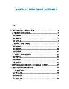 2025中國公益行業(yè)績效工資體系設計與激勵機制報告