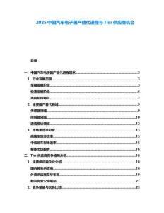 2025中國汽車電子國產替代進程與Tier供應商機會