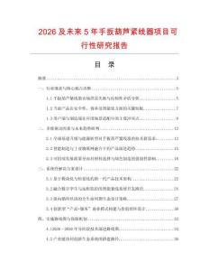 2026及未來5年手扳葫蘆緊線器項目可行性研究報告