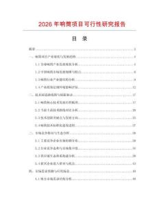 2026年響筒項目可行性研究報告