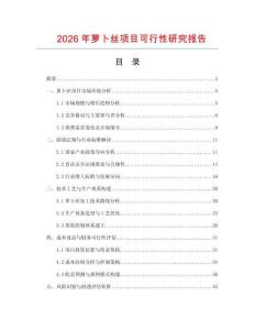 2026年萝卜丝项目可行性研究报告