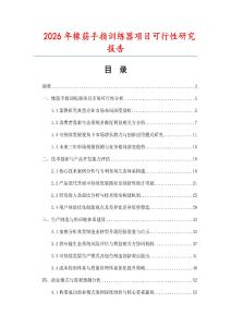 2026年橡筋手指訓(xùn)練器項(xiàng)目可行性研究報(bào)告