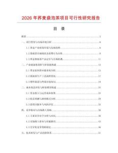 2026年蕎麥袋泡茶項目可行性研究報告