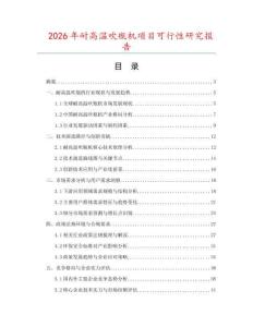 2026年耐高温吹瓶机项目可行性研究报告