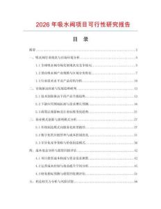 2026年吸水閥項目可行性研究報告