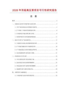 2026年雙級(jí)高壓泵項(xiàng)目可行性研究報(bào)告