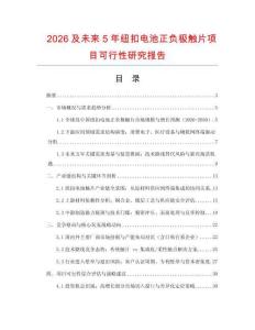 2026及未來5年紐扣電池正負極觸片項目可行性研究報告