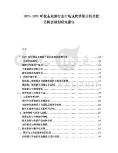 2025-2030帕拉圭旅游行業市場現狀供需分析及投資機會規劃研究報告
