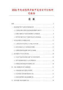 2026年電動(dòng)恐怖聲鐵甲龍項(xiàng)目可行性研究報(bào)告