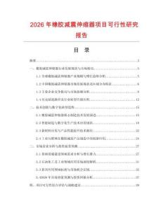2026年橡膠減震伸縮器項目可行性研究報告