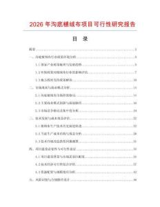2026年溝底植絨布項目可行性研究報告