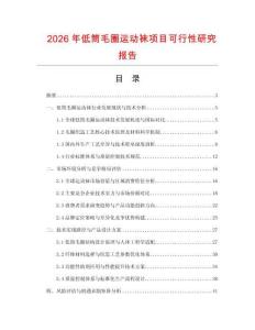 2026年低筒毛圈运动袜项目可行性研究报告