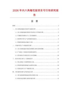 2026年内六角梅花扳项目可行性研究报告