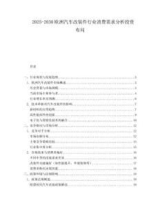 2025-2030歐洲汽車改裝件行業消費需求分析投資布局