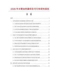 2026年光管加热器项目可行性研究报告