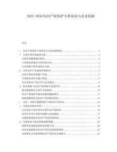 2025-2030知識產權保護專利布局與企業創新