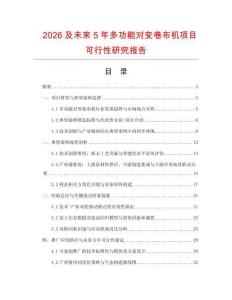 2026及未來5年多功能對變卷布機項目可行性研究報告