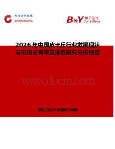 2026年中國皮卡丘行業發展現狀與市場占有率及排名研究分析報告