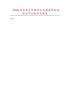 2026及未來5年微壓打孔滴灌帶機組項目可行性研究報告