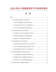 2026年内六角套筒项目可行性研究报告