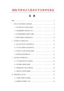 2026年神功元氣袋項目可行性研究報告