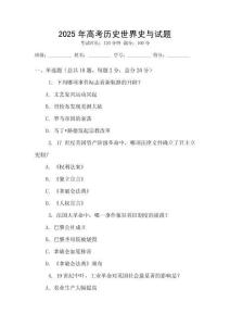2025年高考历史世界史与试题