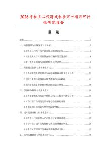 2026年机王二代游戏机长百叶项目可行性研究报告