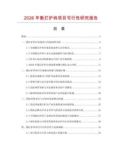 2026年散打護襠項目可行性研究報告