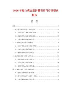 2026年磁力偶合攪拌器項目可行性研究報告