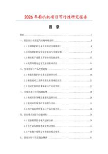 2026年推扒機項目可行性研究報告