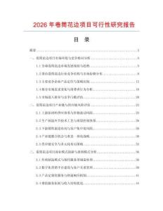 2026年卷筒花邊項目可行性研究報告