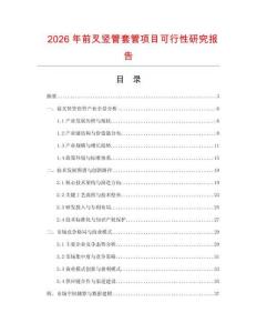 2026年前叉豎管套管項(xiàng)目可行性研究報(bào)告