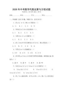 2026年中考數學代數運算與方程試題