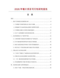 2026年鎳片項目可行性研究報告