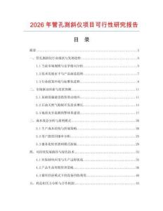 2026年管孔测斜仪项目可行性研究报告