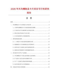 2026年外溝槽數(shù)顯卡尺項(xiàng)目可行性研究報(bào)告