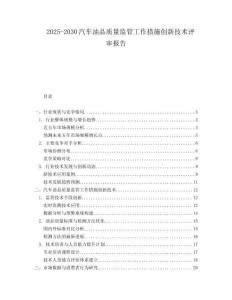 2025-2030汽車油品質量監管工作措施創新技術評審報告